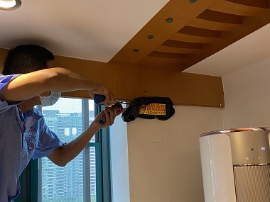 佛山预防白蚁站:天花板上有白蚁怎么办