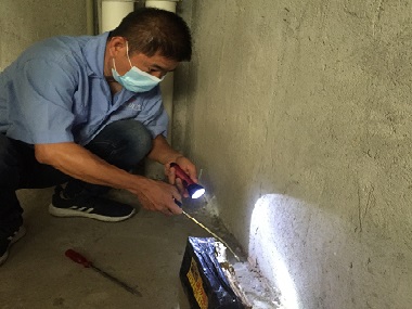 南海专业治白蚁中心白蚁是怎样毁坏钢筋混凝土的