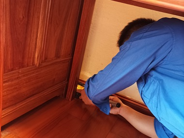 高明验收白蚁公司冬季是灭白蚁的最好时机