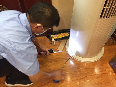 顺德白蚁预防公司发现房子有白蚁的处理措施