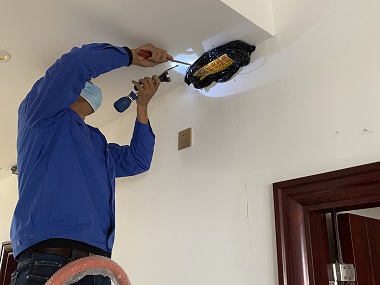 三水白蚁备案中心白蚂蚁危害防治收费标准