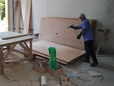 南海除白蚁机构房屋装修怎么防治白蚁?