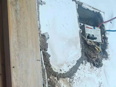 禅城白蚁防治所——白蚁危害的三大特性，你了解吗？