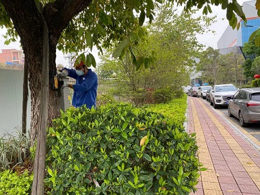 顺德除白蚁机构园林绿化有白蚁危害该如何灭治